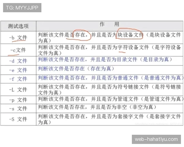 拖延时间违例的具体判定标准与规则解析