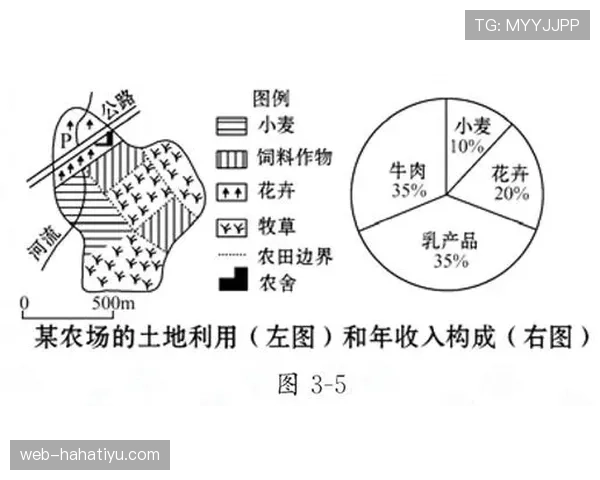 阻挡和带球撞人区别的核心规则与判定逻辑解析